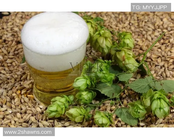 世界啤酒大赛盛典麦芽与酒花交响曲的魅力与风采